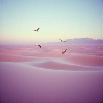 Glass Horizon