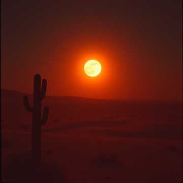 Driving Through the Desert 3