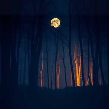 The Dream Lives On (Ver2)