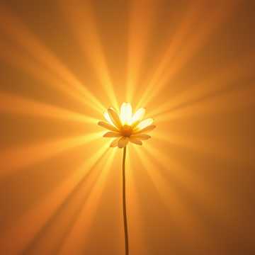 Naima, Daddy Loves You